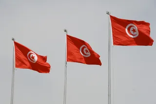Egyptian, Tunisian FMs hail bilateral relations and regional coordination
