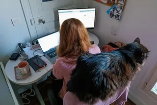 Can't Find a Job After Graduation? Blame WFH, Not AI