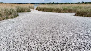 Left High and Dry: Drought Exposes Central Europe’s Water Crisis