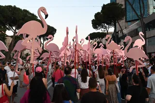The Digital Front of Albania’s ‘Flamingo Revolution’