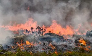 Polymarket let gamblers bet on whether wildfire would reach Santa Monica
