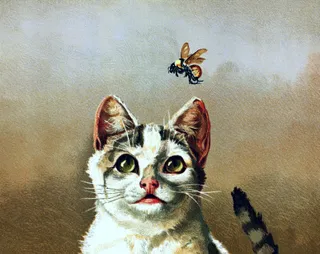 The Internet Needs More Cross-Pollinators