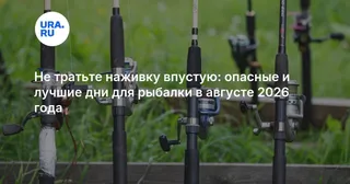 Не тратьте наживку впустую: опасные и лучшие дни для рыбалки в августе 2026 года