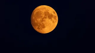The 2026 Buck Moon Will Rise This Week, Coinciding with Three Active Meteor Showers