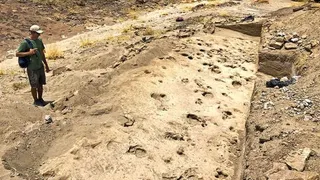 Ancient Footprints Reveal Eight Human Relatives Walked Together Along a Kenyan Lakeshore 1.4 Million Years Ago