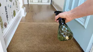  I tried spraying vanilla water at my front entrance to mask odors — here’s what happened 