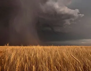 Estratégias do Paraná para enfrentar os desafios do El Niño
