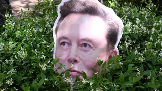No One Knows What the Hell Elon Musk’s AI Graph Means