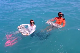 Scientists Outplant Experimental ‘Flonduran’ Corals in Florida’s Dry Tortugas National Park