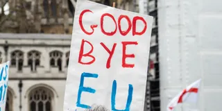 What Brexit Taught Europe