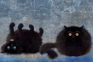 Schrödinger's Kittens Are All Grown Up
