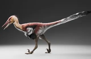 Nightmarish Heron-Like Dinosaur Unearthed in Patagonia