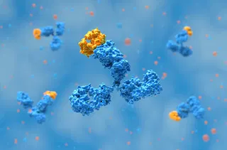 Sleuths uncover 100 suspicious images in Thermo Fisher antibody catalogue