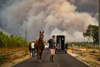 DIRECT. Incendie dans les Landes : 2 500 hectares brûlés à Biscarrosse, 23 000 personnes évacuées, le préfet demande de l’aide aux agriculteurs... Suivez l’évolution ce vendredi 24 juillet