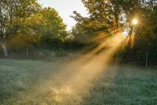 News24 | Saturday’s weather: Foggy morning, cool, cold across SA, with isolated showers in KZN