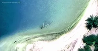 Amelia Earhart’s Airplane or a Coconut Tree? New Expedition Seeks the Truth