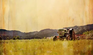 A Love Letter to My Hometown: On Revisiting Rural New Hampshire in Fiction