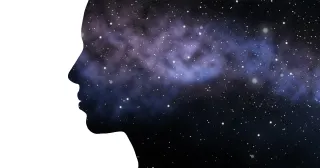 Consciousness might be a fundamental feature of reality, like gravity