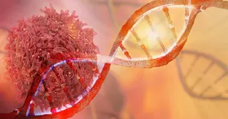 AI Model Links Tumor Mutations to Treatment Response