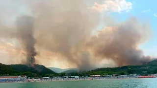Huge wildfire in Puglia's Gargano area under control says mayor