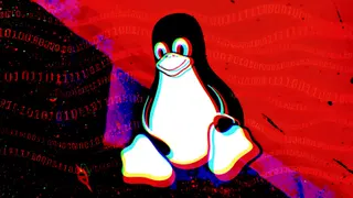 Exploit released for new PinTheft Arch Linux root escalation flaw