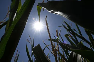 “In arrivo la quarta ondata di calore. Durerà fino al 7-8 agosto”