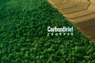 Cropped 3 June 2026: Highway through the Amazon | El Niño impact | State of CO2 removal