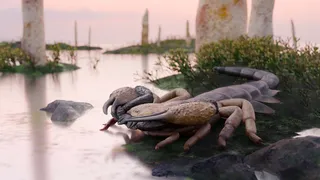 The largest scorpion lived 415M years ago