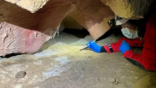 In painted caves, ancient human DNA clings to the walls