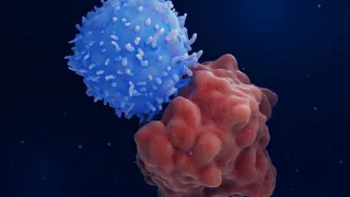 STAT+: Legend Biotech emerged as a rare market winner